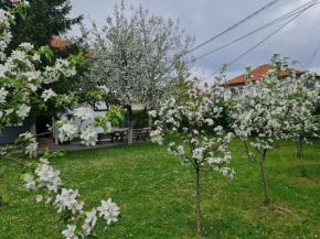Green Garden Apartment
